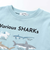 【吸汗速乾】恐竜サメ図鑑風発泡プリントTシャツ(80~130cm)