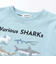 【吸汗速乾】恐竜サメ図鑑風発泡プリントTシャツ(80~130cm)