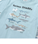【吸汗速乾】恐竜サメ図鑑風発泡プリントTシャツ(80~130cm)