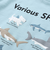 【吸汗速乾】恐竜サメ図鑑風発泡プリントTシャツ(80~130cm)