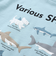 【吸汗速乾】恐竜サメ図鑑風発泡プリントTシャツ(80~130cm)