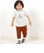 シャツコール裾ボーダーテーパードパンツ(80~100cm)