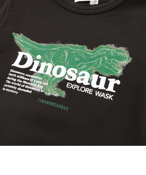 恐竜プリントトレーナー(100~160cm)｜ベベ オンライン ストアの