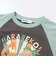 はらぺこ恐竜ラグラン半袖Tシャツ(80~130cm)