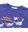 恐竜カラーチェンジメッシュ半袖Tシャツ(80~130cm)