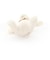 ベロアクマウサギガラガラベビー