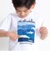 ウミノナカプリント天竺半袖Tシャツ(90~140cm)