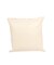 CT Cushion Cover