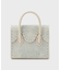 MiniRSHandbag-ga