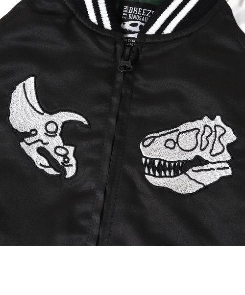 福井県立恐竜博物館コラボ 恐竜世界地図スカジャン｜エフオー