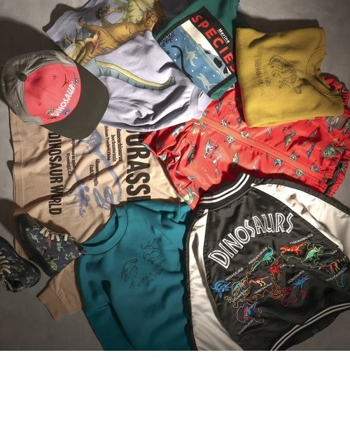 福井県立恐竜博物館コラボ 恐竜世界地図スカジャン｜エフオー