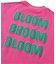 ビビットカラーTシャツ