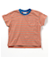 WEB限定 無地ボーダーTシャツ