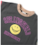 WEB限定 いろいろカレッジTシャツ