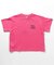 WEB限定 ストリートTシャツ