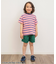 WEB限定 マルチボーダーTシャツ