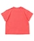 4柄アニマルTシャツ