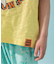 4柄アニマルTシャツ