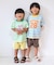 WEB限定  ラインカットソーパンツ