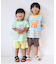 WEB限定  ラインカットソーパンツ