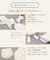 【Baby Gift Box】天使の羽セット