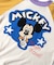 【リンク】ディズニーキャラクター/ラグランTシャツ