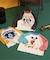 【リンク】ディズニーキャラクター/ラグランTシャツ
