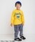 6柄サガラワッペンロンT