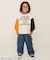 WEB限定 カレッジバリエーショントレーナー