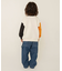 WEB限定 カレッジバリエーショントレーナー