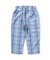 【リンク】フロントボタンチェックパンツ  10分丈