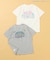 【リンク】ちびまる子ちゃんコラボ グラフィックTシャツ(大人サイズ)