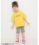 【WEB限定/26春新作】DAISUKIリブハーフパンツ