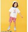 【リンク】シェフハーフパンツ(セットアップ可)  5分丈