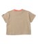 WEB限定  ボーダー＆無地ベーシックTシャツ