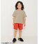WEB限定  ボーダー＆無地ベーシックTシャツ