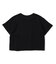 WEB限定  ボーダー＆無地ベーシックTシャツ
