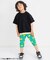 【WEB限定】ボーダー&無地ベーシック半袖Tシャツ