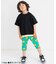 【WEB限定】ボーダー&無地ベーシック半袖Tシャツ