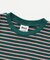 WEB限定  ボーダー＆無地ベーシックTシャツ