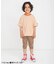 【WEB限定】ボーダー&無地ベーシック半袖Tシャツ