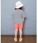 【WEB限定】ボーダー&無地ベーシック半袖Tシャツ
