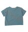 WEB限定  ボーダー＆無地ベーシックTシャツ