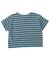 【WEB限定】ボーダー&無地ベーシック半袖Tシャツ