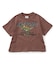 WEB限定  イロイログラフィックTシャツ