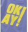 【WEB限定】イロイロロゴ半袖Tシャツ
