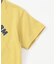 WEB限定  リンガー配色アニマルカレッジTシャツ