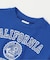 WEB限定  チュニックカレッジTシャツ