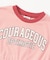 WEB限定  チュニックカレッジTシャツ