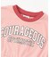 WEB限定  チュニックカレッジTシャツ